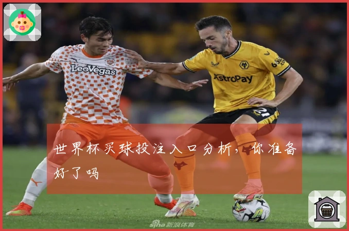 世界杯买球投注入口分析，你准备好了吗