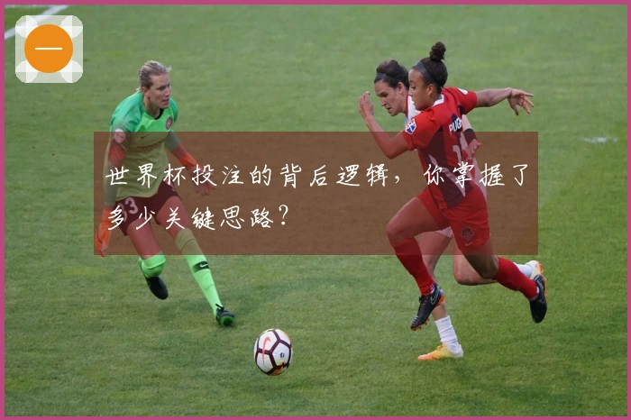 世界杯投注的背后逻辑，你掌握了多少关键思路？
