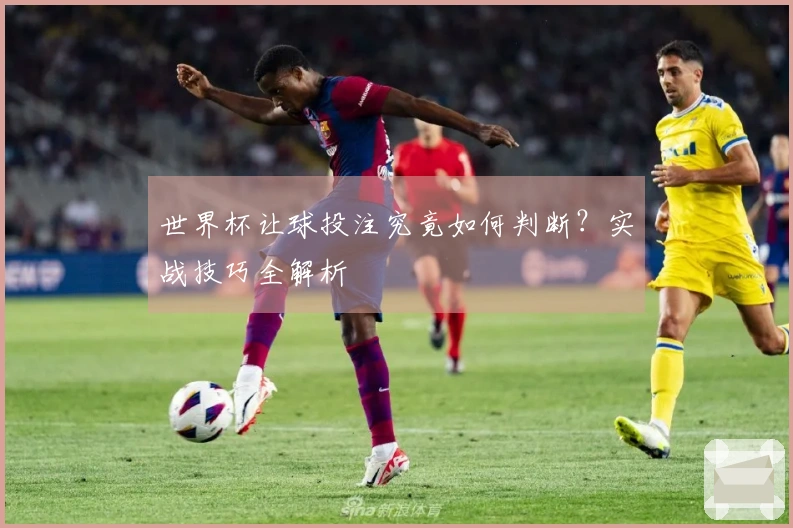 世界杯让球投注究竟如何判断？实战技巧全解析
