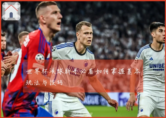 世界杯滚球新手必看如何掌握基本玩法与技巧