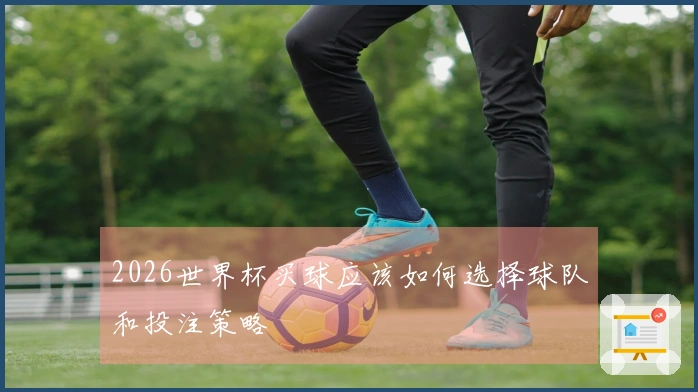 2026世界杯买球应该如何选择球队和投注策略