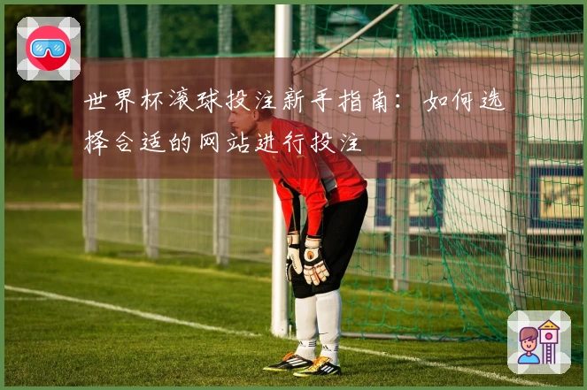 世界杯滚球投注新手指南：如何选择合适的网站进行投注
