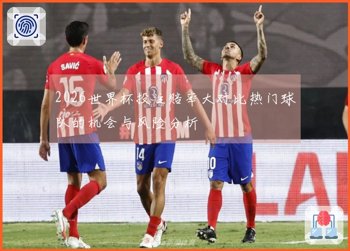 2026世界杯投注赔率大对比热门球队的机会与风险分析