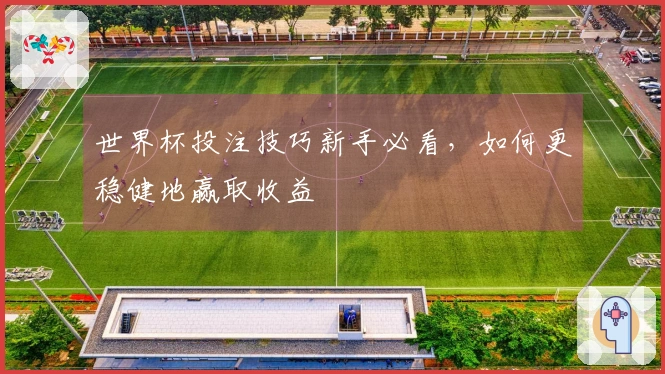 世界杯投注技巧新手必看，如何更稳健地赢取收益