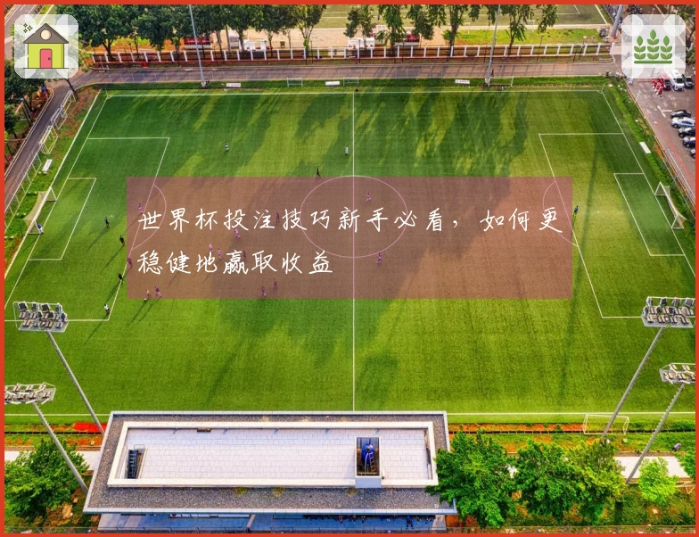 世界杯投注技巧新手必看，如何更稳健地赢取收益