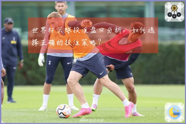 世界杯买球投注盘口分析，如何选择正确的投注策略？