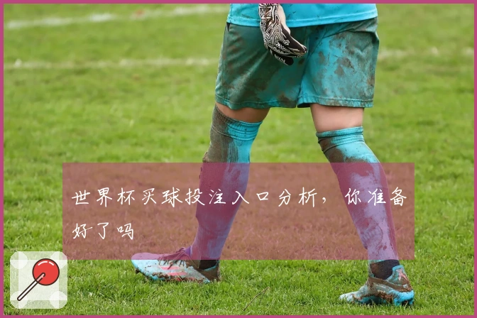 世界杯买球投注入口分析，你准备好了吗