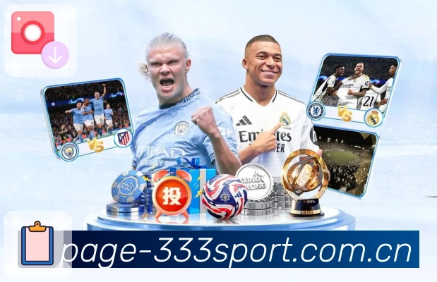 观赛链路与复盘展示